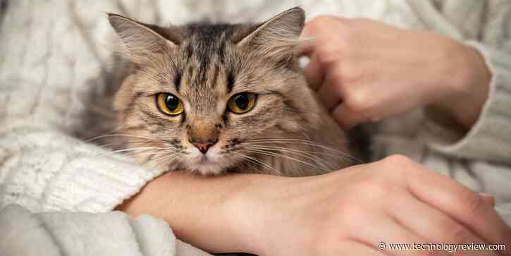 Can’t bear to say goodbye to your pet? Biotech’s got you covered.