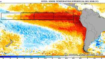 Super El Niño has grown a second ARM: Ominous map reveals how the stretch of warm water in the Pacific Ocean has expanded