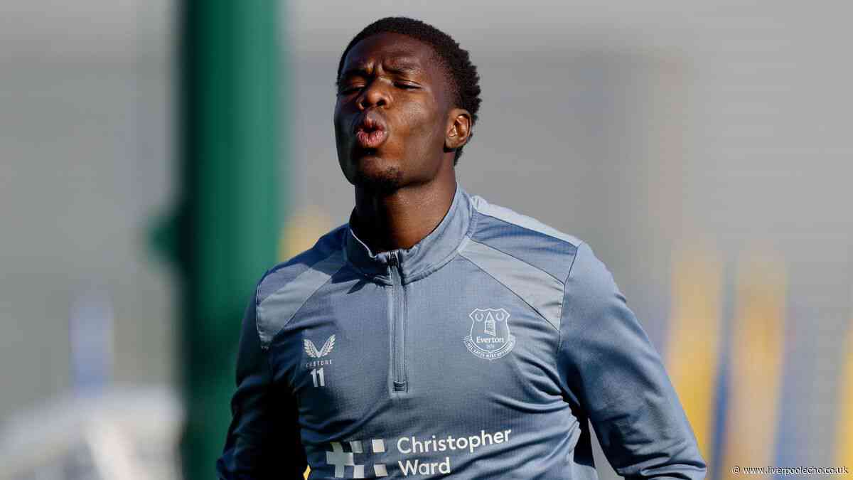 Everton's Thierno Barry set goal target by Premier League Golden Boot winner