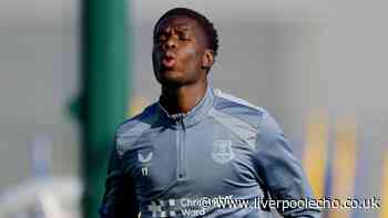 Everton's Thierno Barry set goal target by Premier League Golden Boot winner