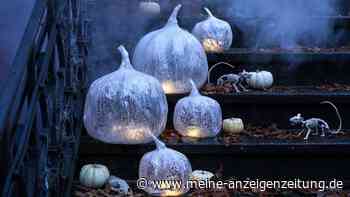 3 Halloween-Ideen: So gelingt die Kürbis-Deko ohne Aushöhlen