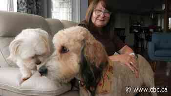 Reid returns! 45 days on, he's a little lighter, but even more adored — if possible