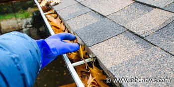 Experts say this is the best time to clean your gutters