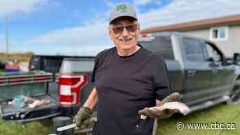 Lake Winnipeg pollution is ending a 'way of life,' say First Nation's fishers