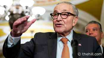 Democrats may be on the cusp of a Senate majority: Here are their top priorities