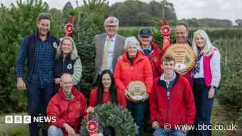 Downing Street Christmas honour for farmers