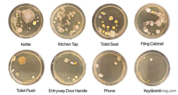 TEA ROUNDS BEWARE! Office kettle hides loo-level bacteria as flu season hits