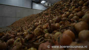 Vlotte export van uien houdt stemming positief