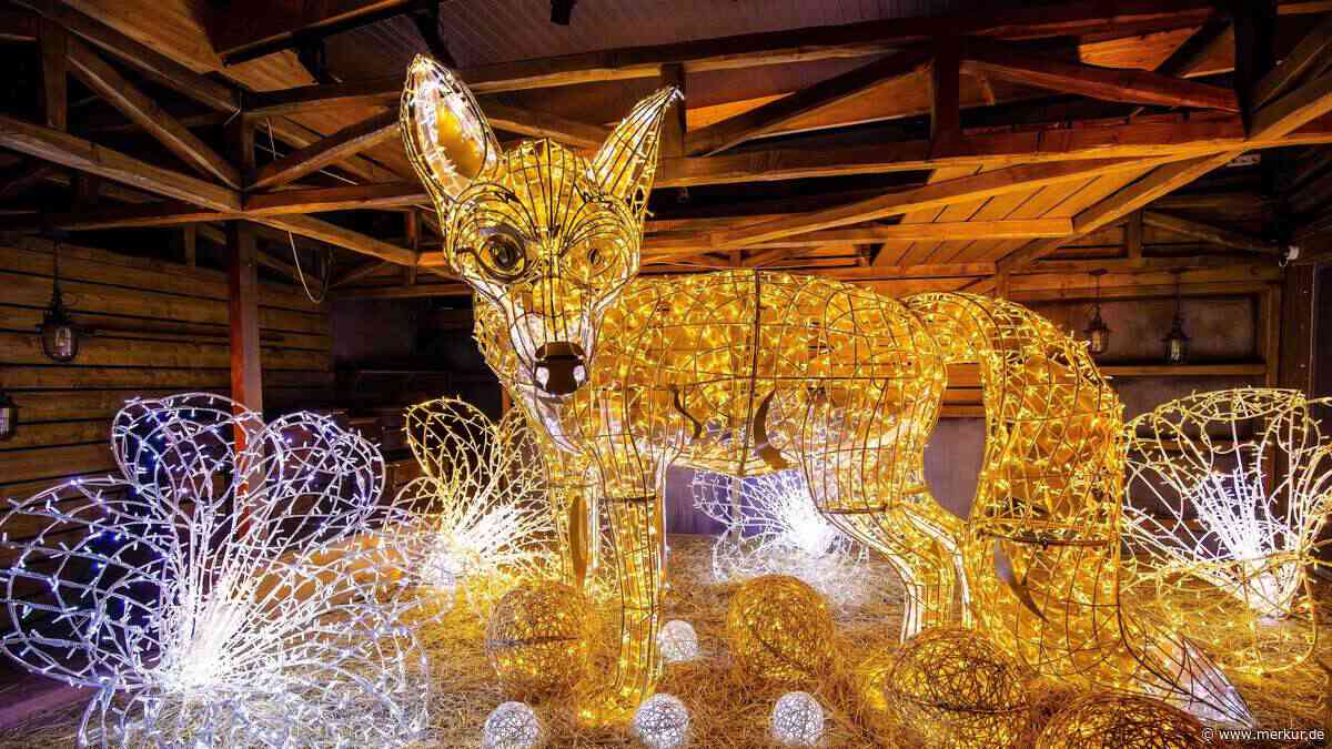 München leuchtet: Gewinnen Sie 1000 Karten für „Lumagica“, die spektakuläre Lichtshow