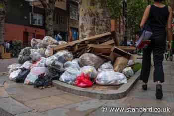 Bin strike to cause ‘major disruption’ in London borough