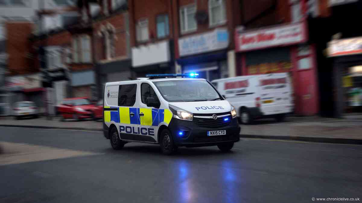 TV's Police Interceptors officer faces gross misconduct hearing over public sex allegations