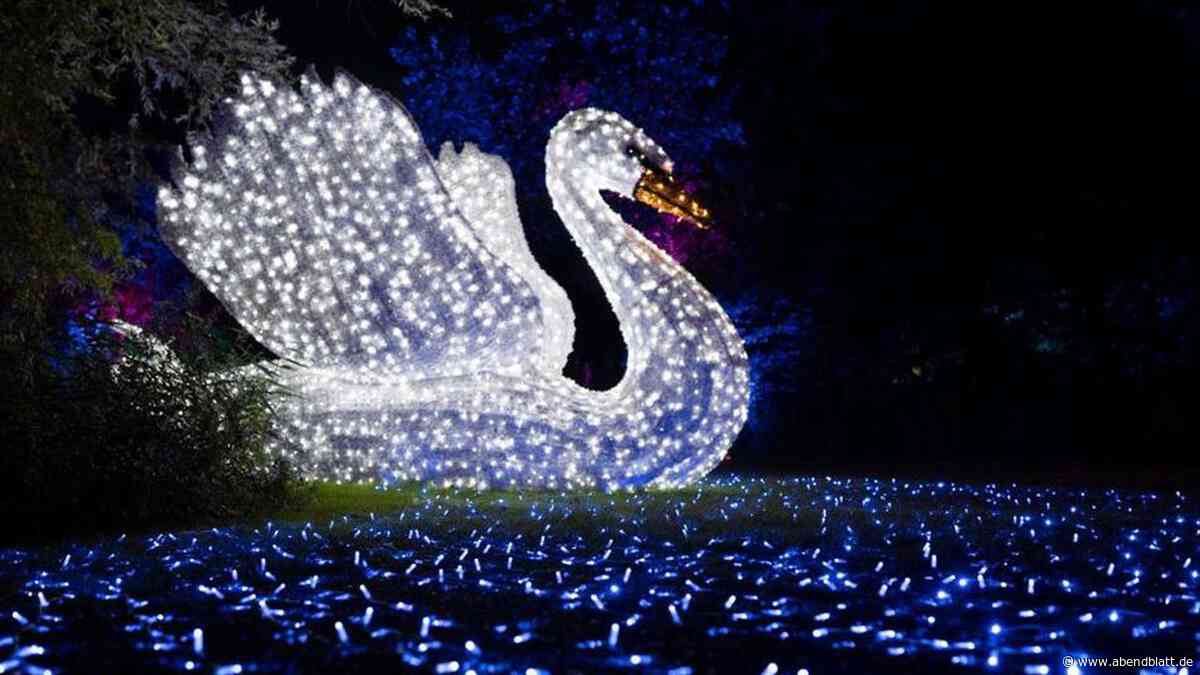 Märchenhaftes Leuchten: Lichtershow Lumagica kehrt in den Wildpark zurück