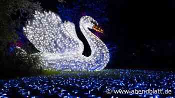 Märchenhaftes Leuchten: Lichtershow Lumagica kehrt in den Wildpark zurück