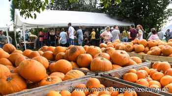 Kürbisfest, Erntemarkt, Herbstmesse: Die 10 schönsten Herbstveranstaltungen in Bayern