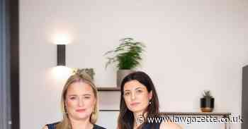 A walk in the park? Former colleagues plan start-up on kids' playdate