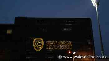 Lions rugby player found dead in team hotel on eve of Champions Cup match