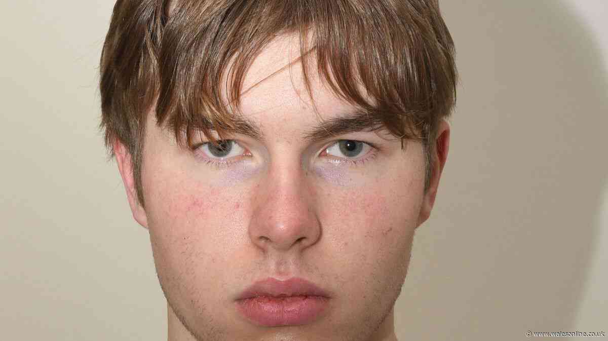 Norway teen jailed for plotting assassination in UK for Iran-backed gang