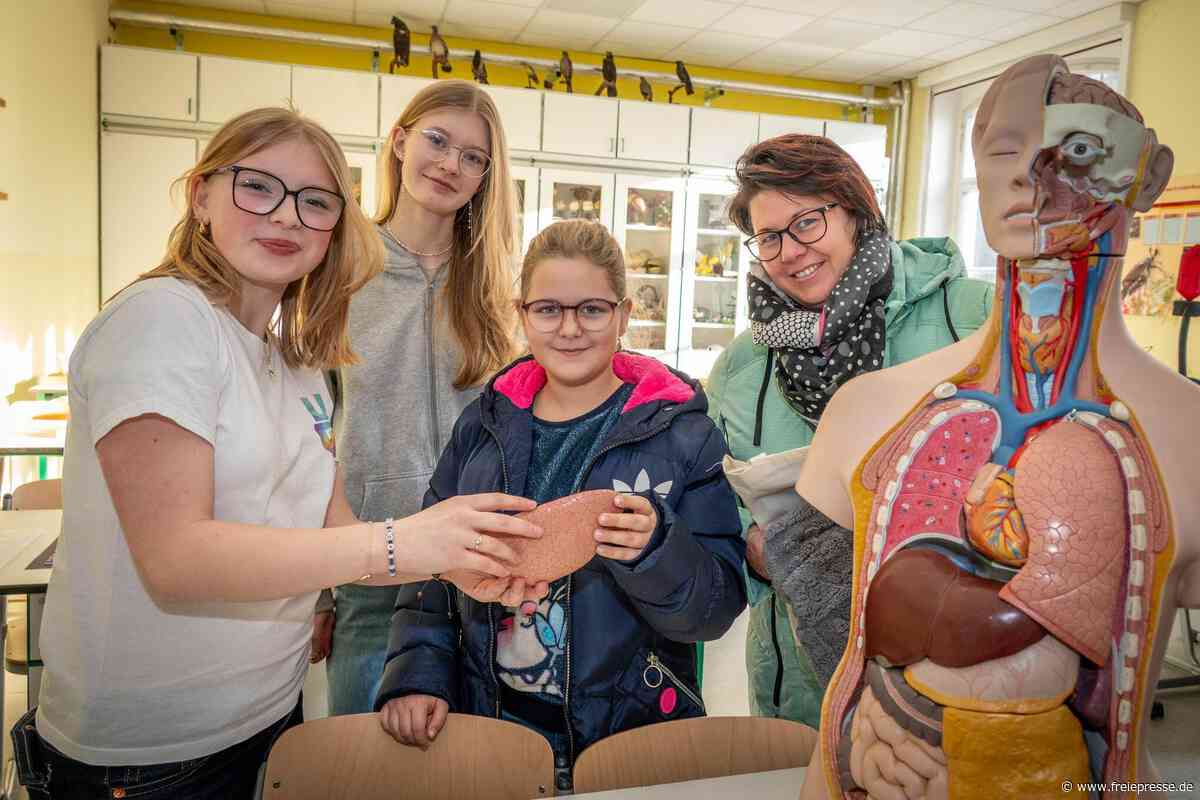Gymnasium Penig lädt zum Schnuppern ein: Das erwartet Grundschüler und Eltern