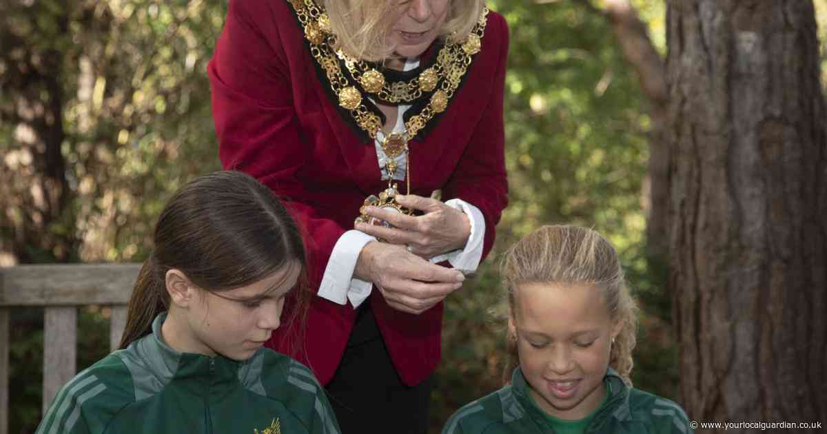 Holly Lodge Centre aims to welcome 100,000 visitors over the next decade