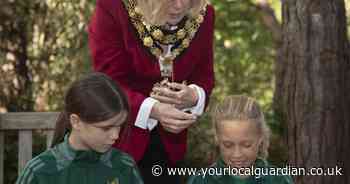 Holly Lodge Centre aims to welcome 100,000 visitors over the next decade