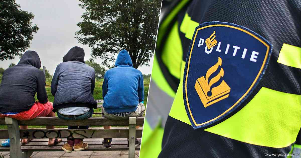 Jongen zegt respectvol ‘ik praat toch netjes met u?’, maar agent ziet een groter probleem
