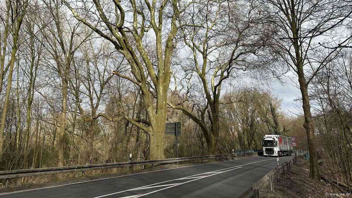 Wichtige Straße an einem Wochenende gesperrt: Naturdenkmale fallen bei Vorarbeiten für neue Brücken