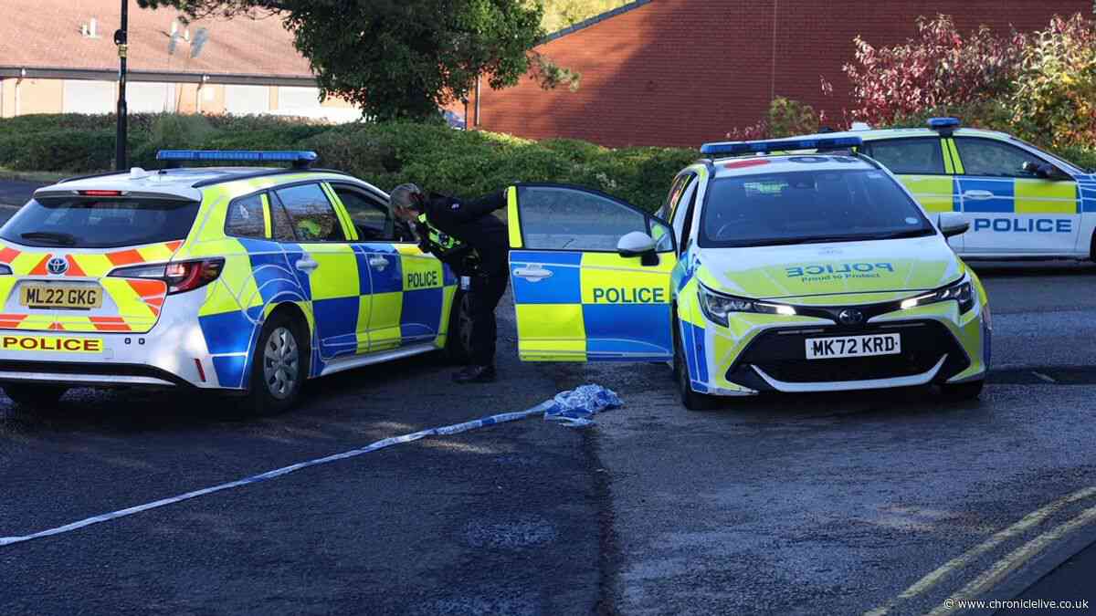 Rainton Bridge incident LIVE: Updates as police find suspected cannabis farm after man seriously injured on industrial estate