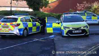 Rainton Bridge incident LIVE: Updates as police find suspected cannabis farm after man seriously injured on industrial estate