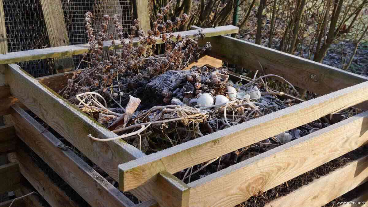 Kompostieren im Herbst: Diese Gartenabfälle haben auf dem Komposthaufen nichts verloren