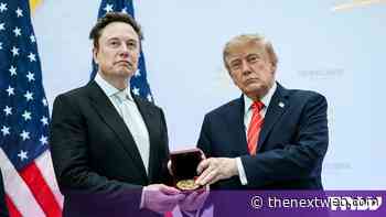 Musk says SpaceX will cover Grok Bot purchase mistakes and leaked cards