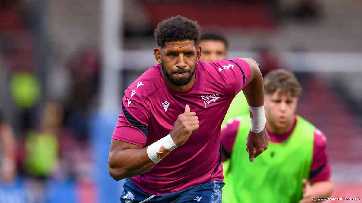 Dead Lions rugby player named as heartbreaking statement released