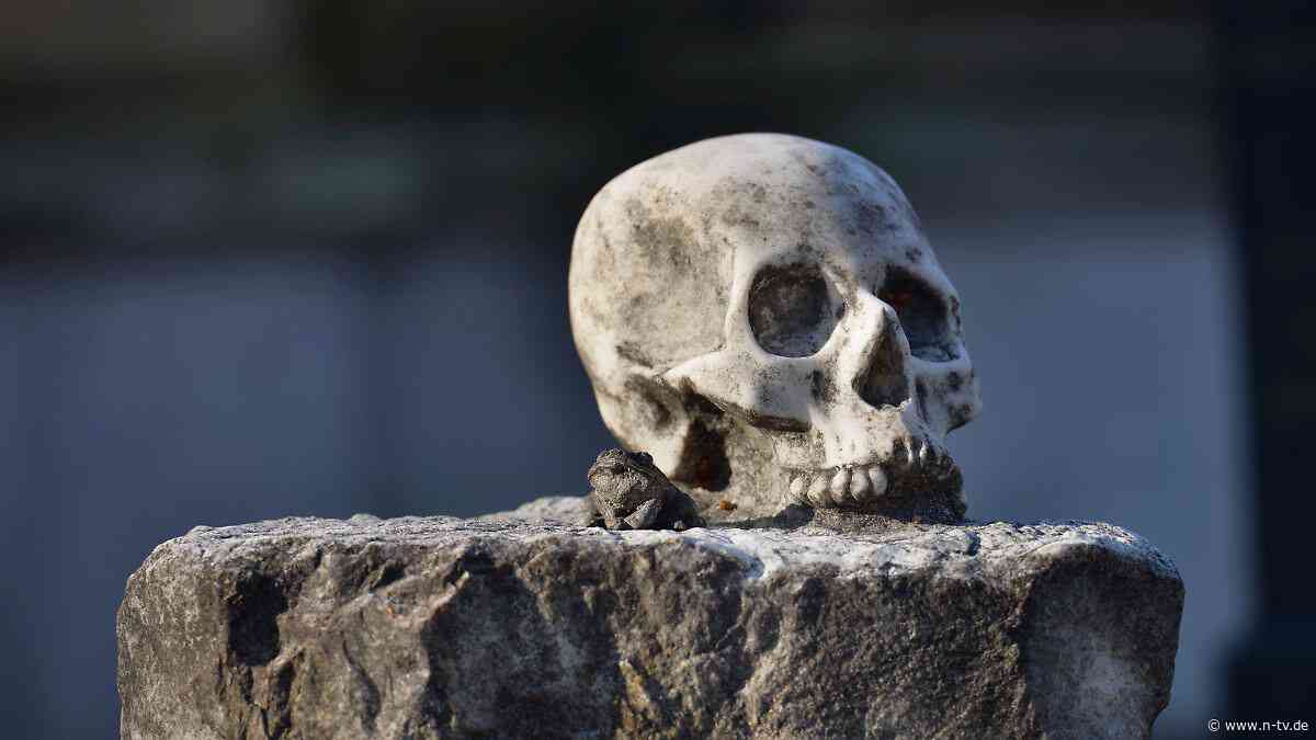 Todesursache weiterhin unklar: Schädel von jahrzehntelang vermisster 14-Jähriger wurde als Aschenbecher benutzt