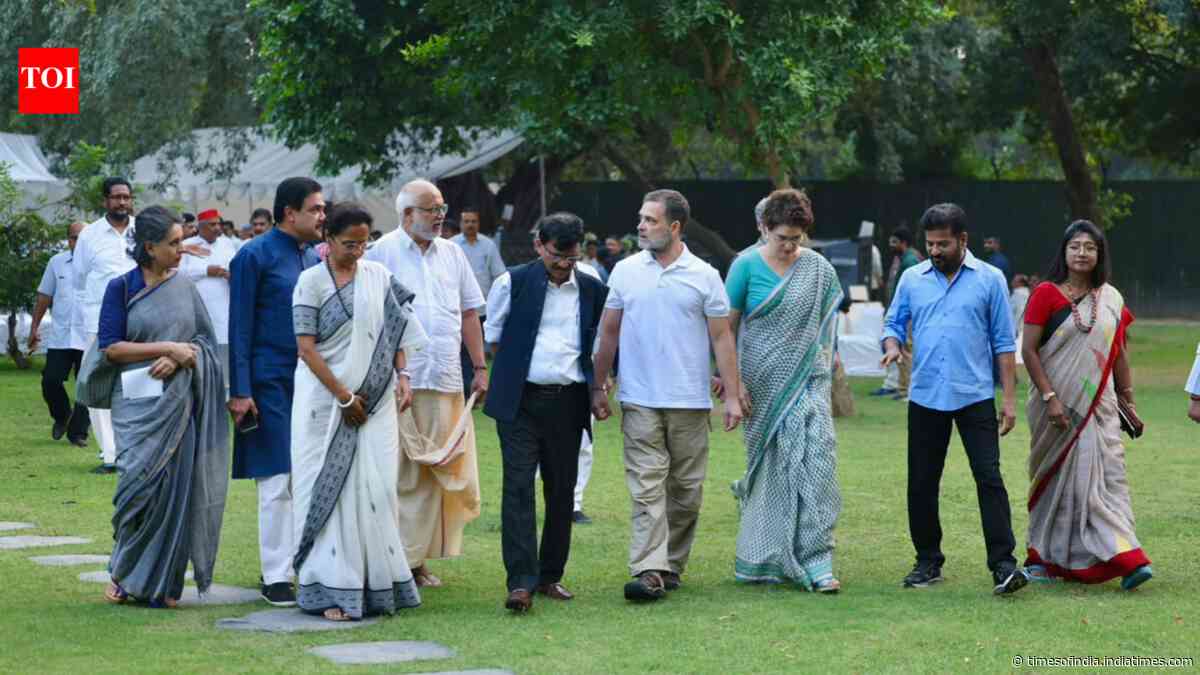SIR protests: Opposition has found common ground. But can it stay united?
