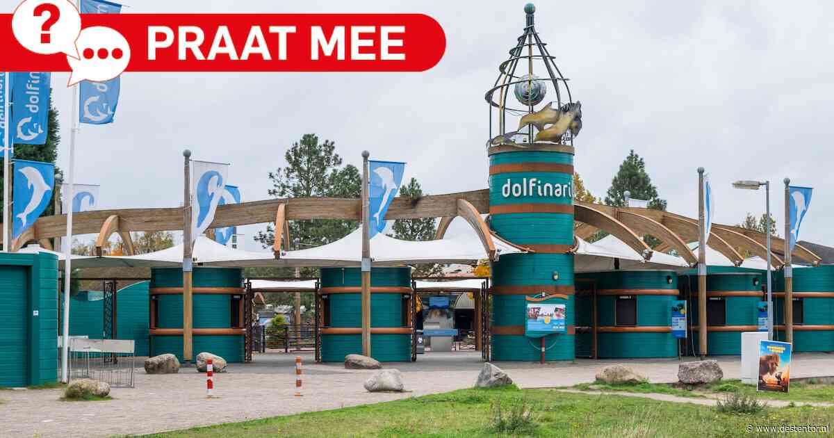 Praat mee | Hoe ziet het Dolfinarium van de toekomst eruit?