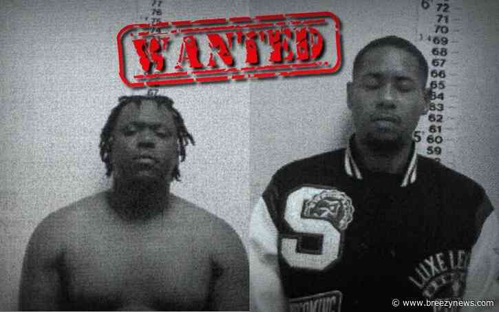 WANTED: Cruz Nash – Likrarius Ward