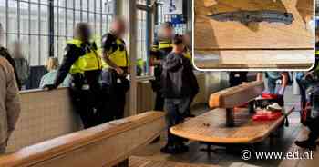 Jongen met diepe snijwonden uit trein gehaald op Eindhoven Centraal, mes gevonden bij andere minderjarige