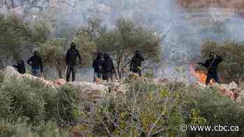 Israeli settlers attack Palestinians, American journalist during West Bank olive harvest