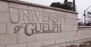 Guelph homecoming drew up to 15,000 people, generated $91K in policing costs