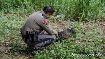 DPS trooper rescues, adopts dog he found near traffic in Central Texas