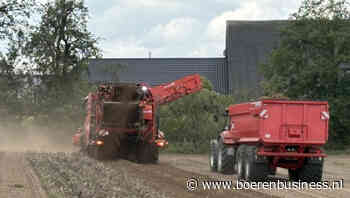 Grote stappen in oogst, over hele linie rust in prijzen
