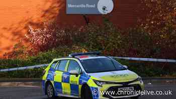 Police discover suspected cannabis farm after being called to disturbance on Sunderland industrial estate