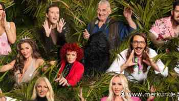 Erkannt? Ex-Dschungelcamper spielt bei „Dahoam is dahoam“ mit – „Reality-TV ist einfacher“