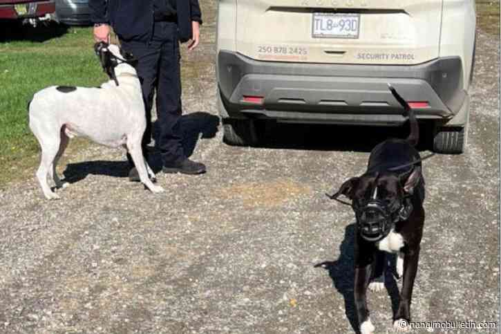 $80K spent by Columbia Shuswap Regional District on  “dangerous dog” case