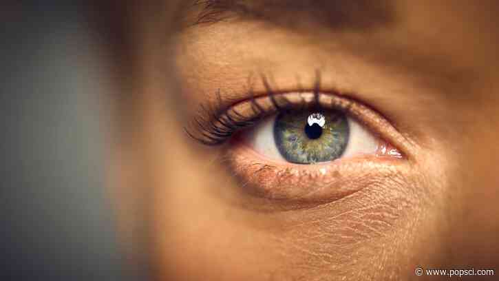 Your eyes dilate depending on your thoughts