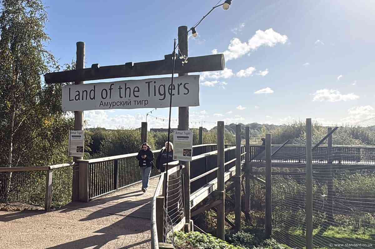 Medical records of tiger victim inappropriately accessed, ambulance service says