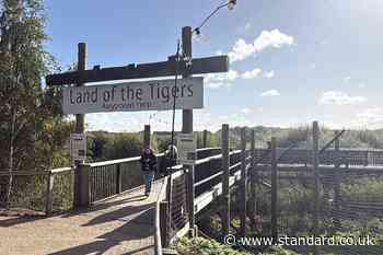 Medical records of tiger victim inappropriately accessed, ambulance service says