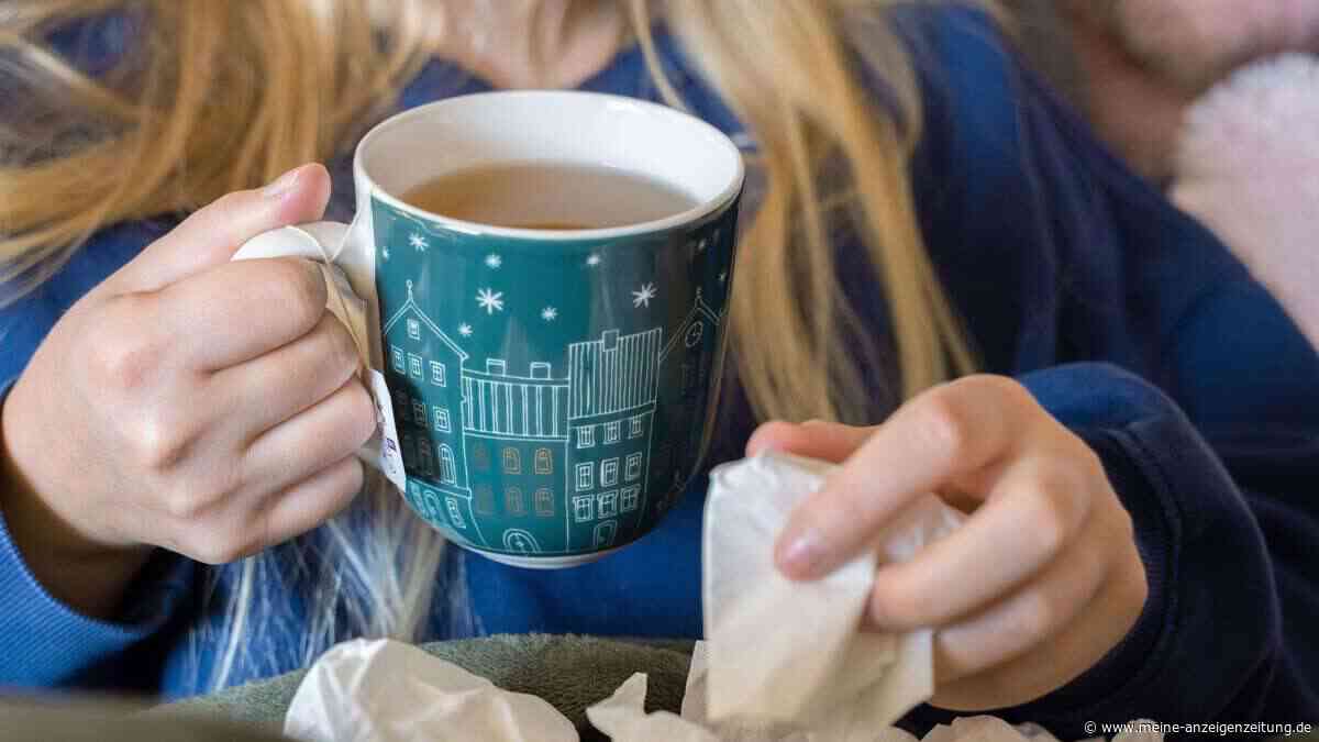 Immunsystem stärken mit dem Schritt-für-Schritt-Plan gegen die Grippewelle