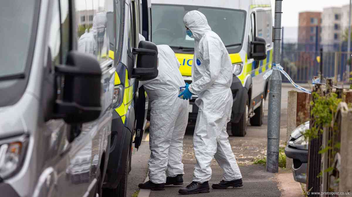 Bristol UWE student killed housemate as 'he wanted to kill me', court told