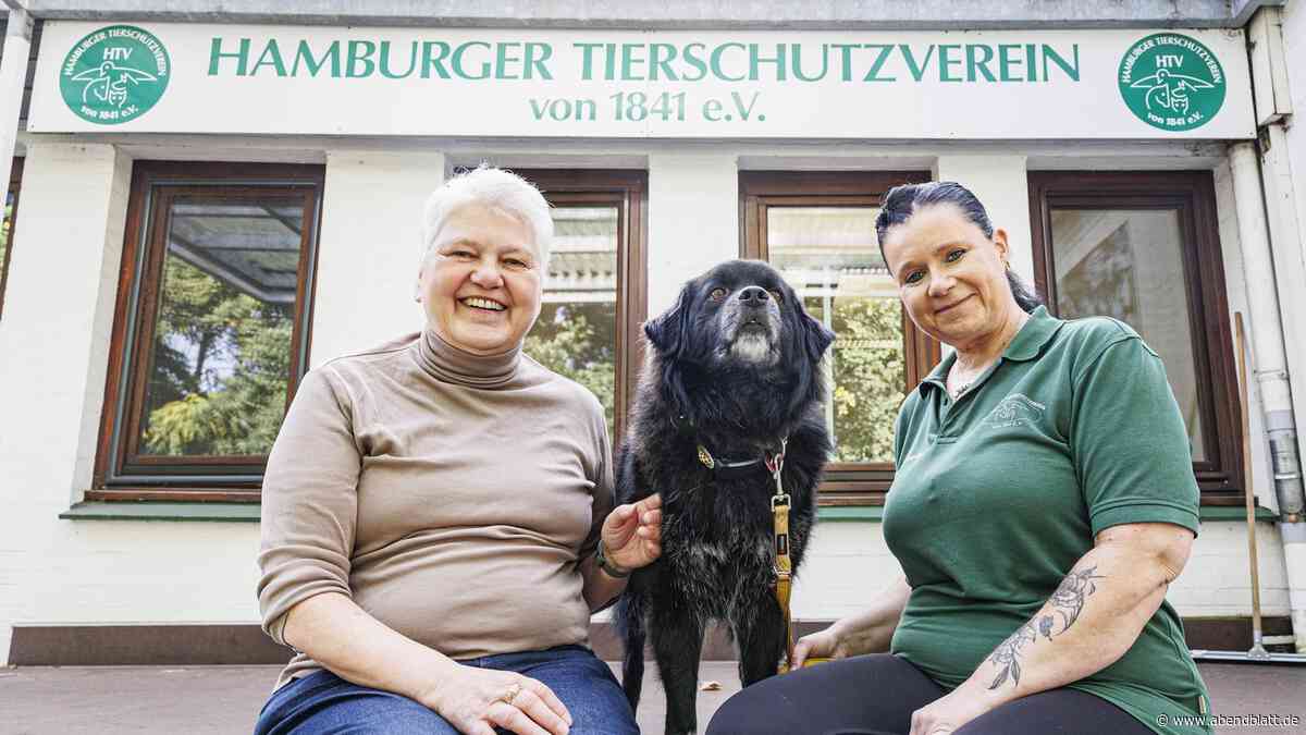 Lage in Hamburger Tierheim spitzt sich immer weiter zu: „Eine Katastrophe“