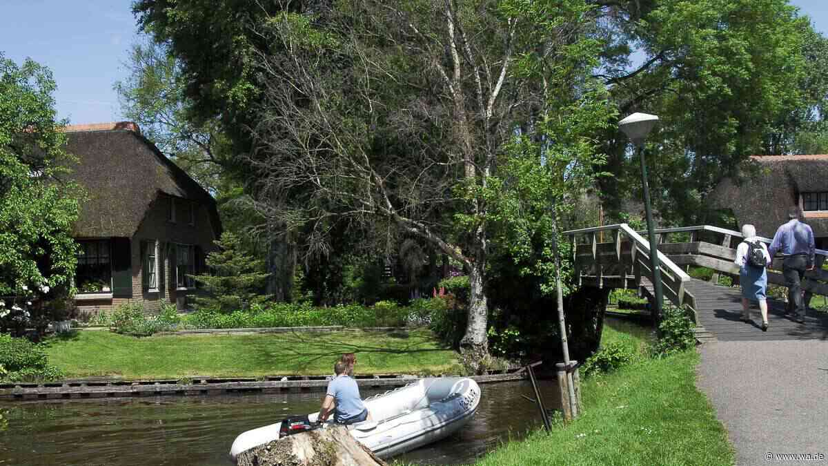 „Kanuparadies der Niederlande“: Nationalpark ist besonders im Herbst ein Hingucker